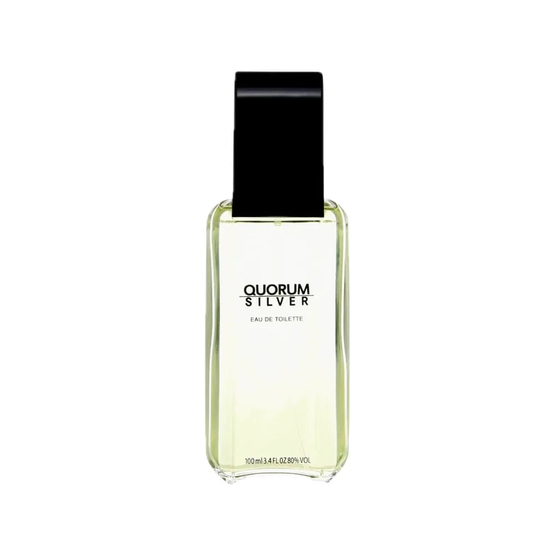 عطر كوروم سيلفر بويغ — Quorum Silver Puig Perfume EDT
